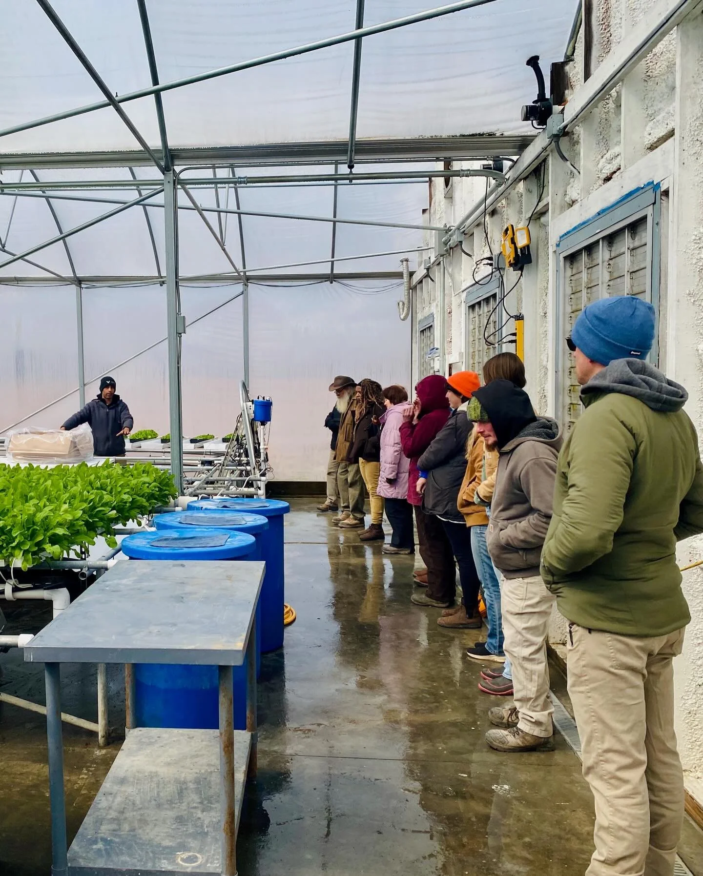Last week we partnered with Hydro House Farms (@hydrohousefarms) for a workshop on packaging and delivering farm products to retail and wholesale buyers. 

Hassan Sharaff, founder of Hydro House Farms, gave us a tour of the greenhouse and shared abou