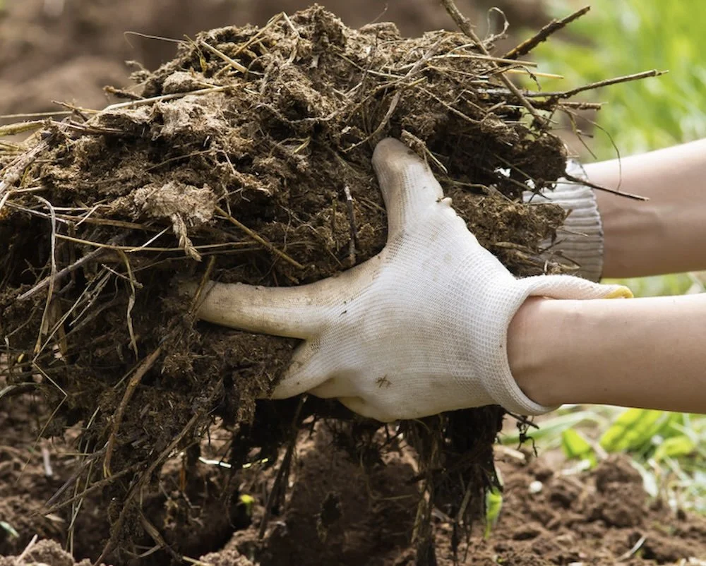 WEBINAR: Brew Your Own Fertility: Practical Biofertilizers for Farms and Gardens