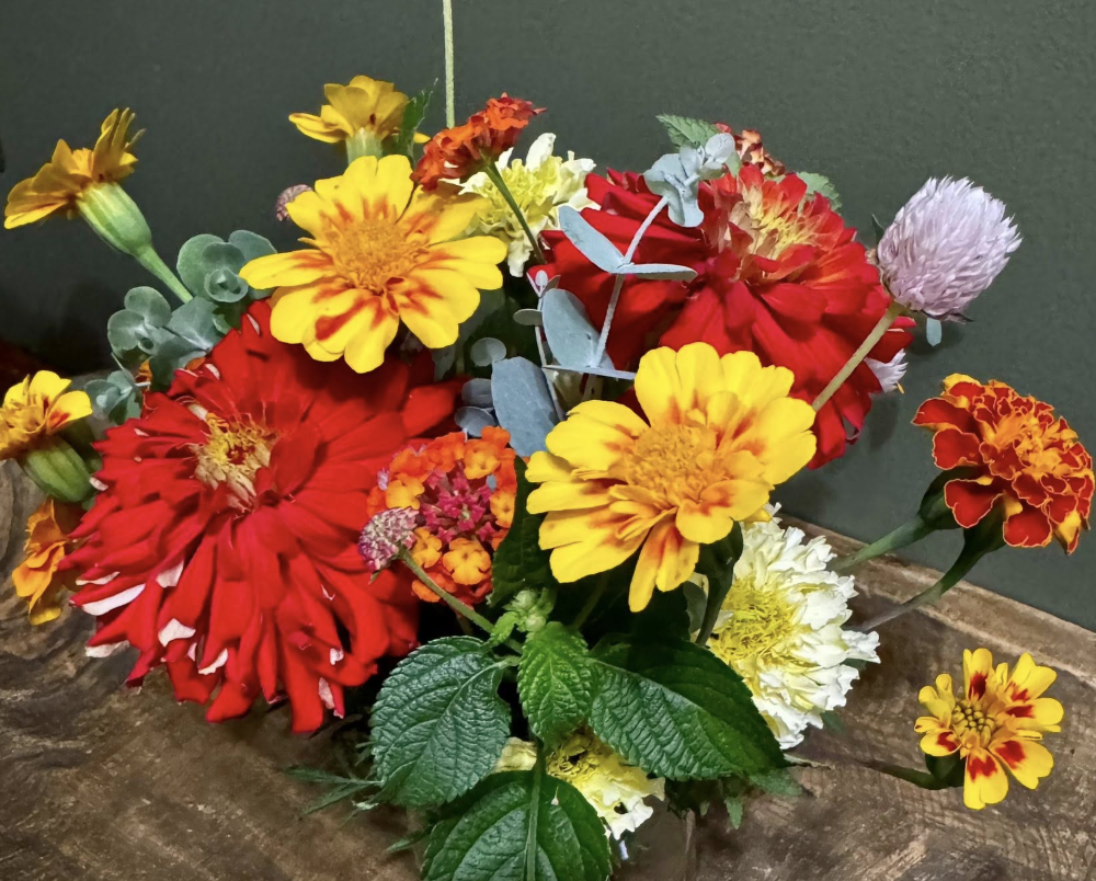 Slow Your Roll: Plan Before You Plant