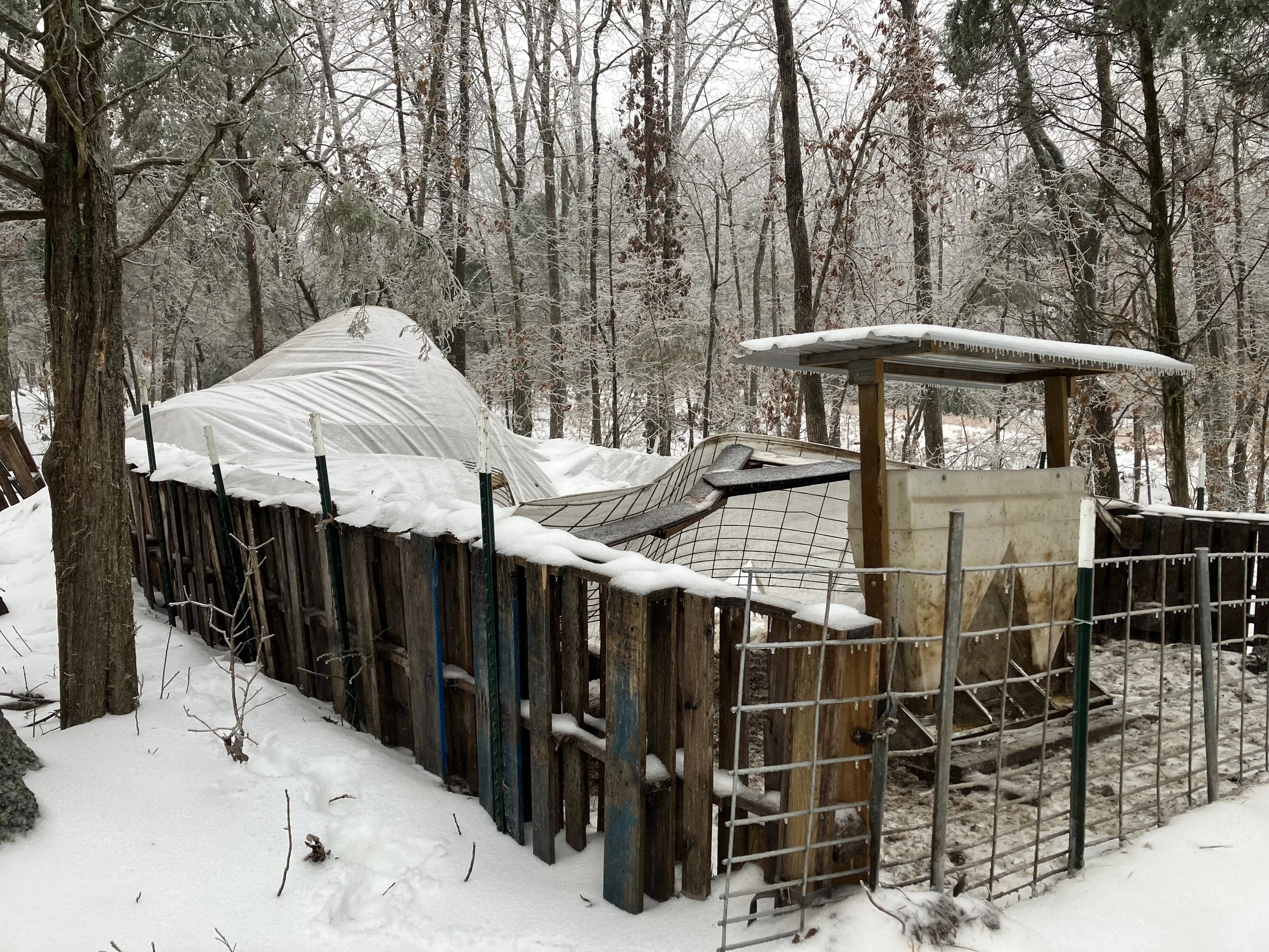 Supporting Farmers After Winter Storm Fern: The Impact of the Farmer Relief Fund