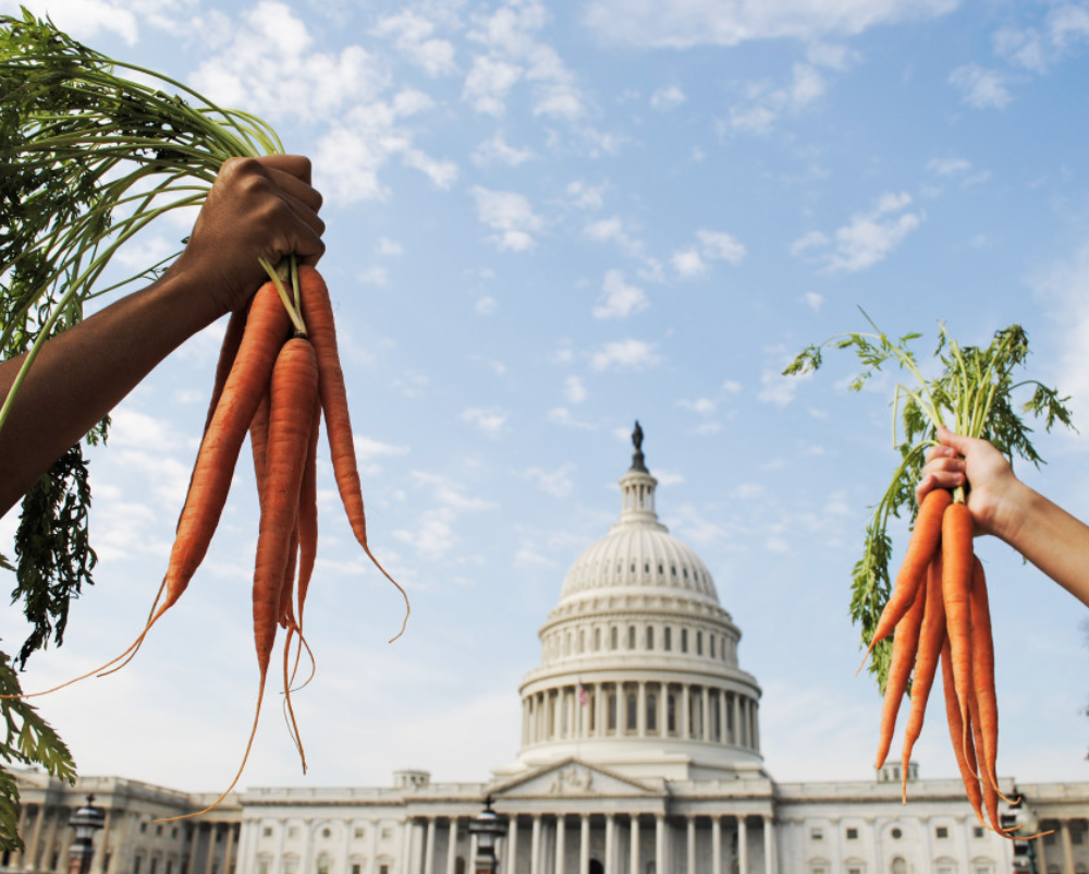 Senate Bill Aims to Strengthen USDA Support for Urban and Innovative Farmers