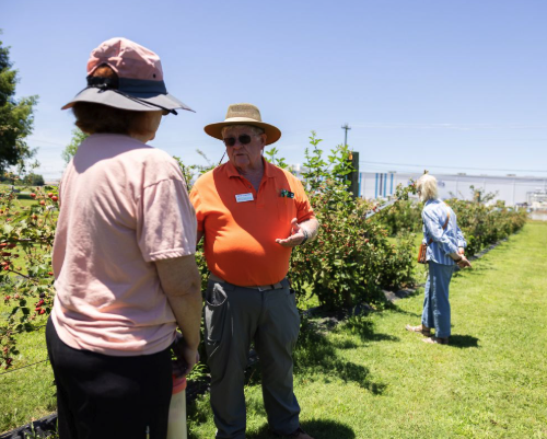FIELD DAY: Fruits of the Backyard - Springhill 