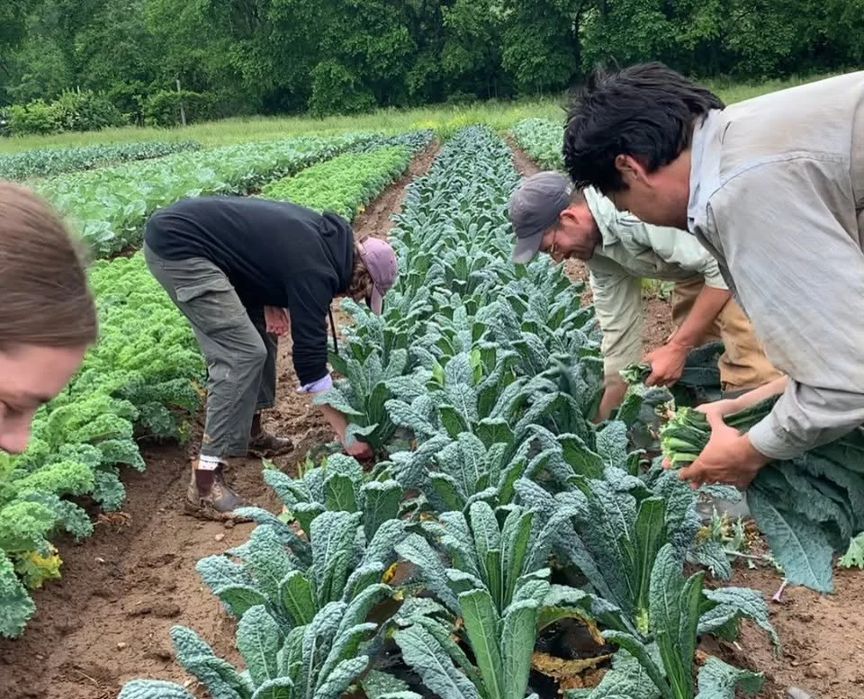 Farmer Listening Session: Nashville Food Hub Launch
