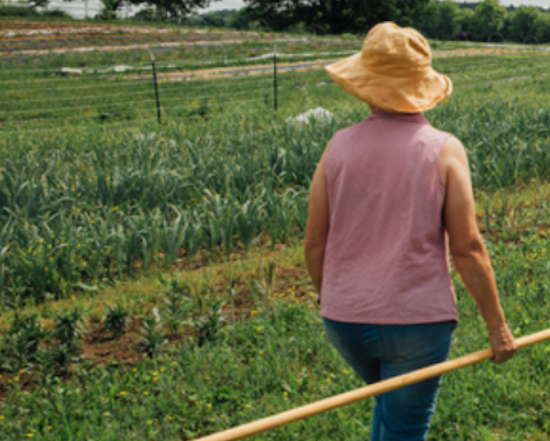 WORKSHOP: Basic Farm Skills - Jonesborough