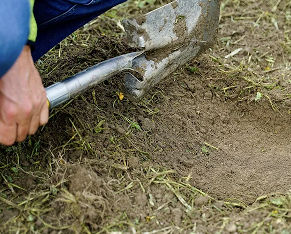 WEBINAR: Surface Fermentation: Building Organic Matter, Tilth, and Fertility
