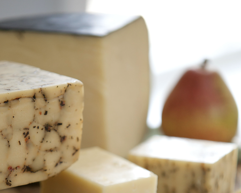 TOUR: Exploring Agritourism for Your Farm