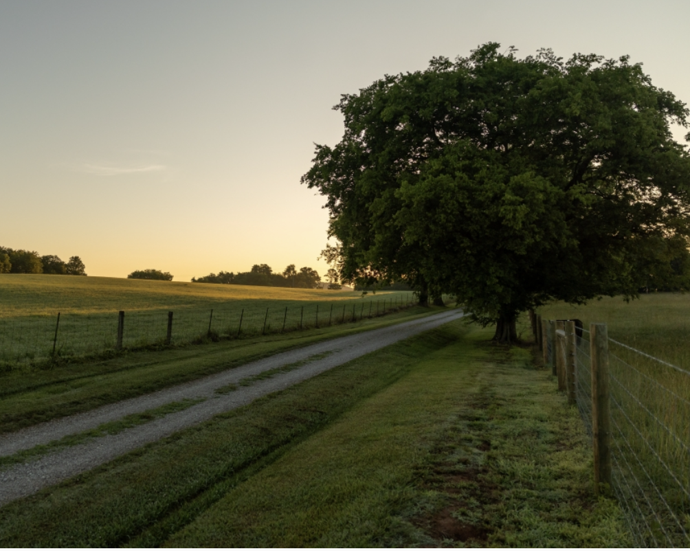 WEB SERIES: Farming Where You Live