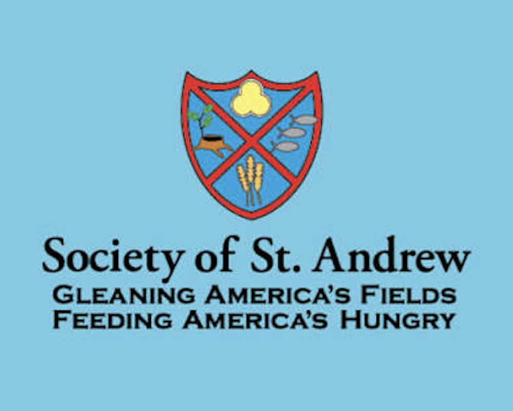 HIRING: TN Region Program Coordinator - SoSA