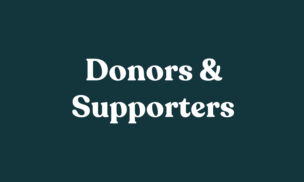 08donors_impact25tiles.png