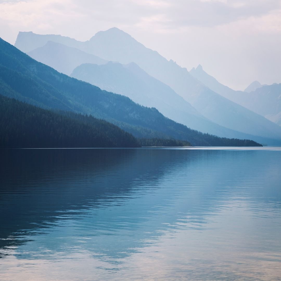 Why do we practice meditation?