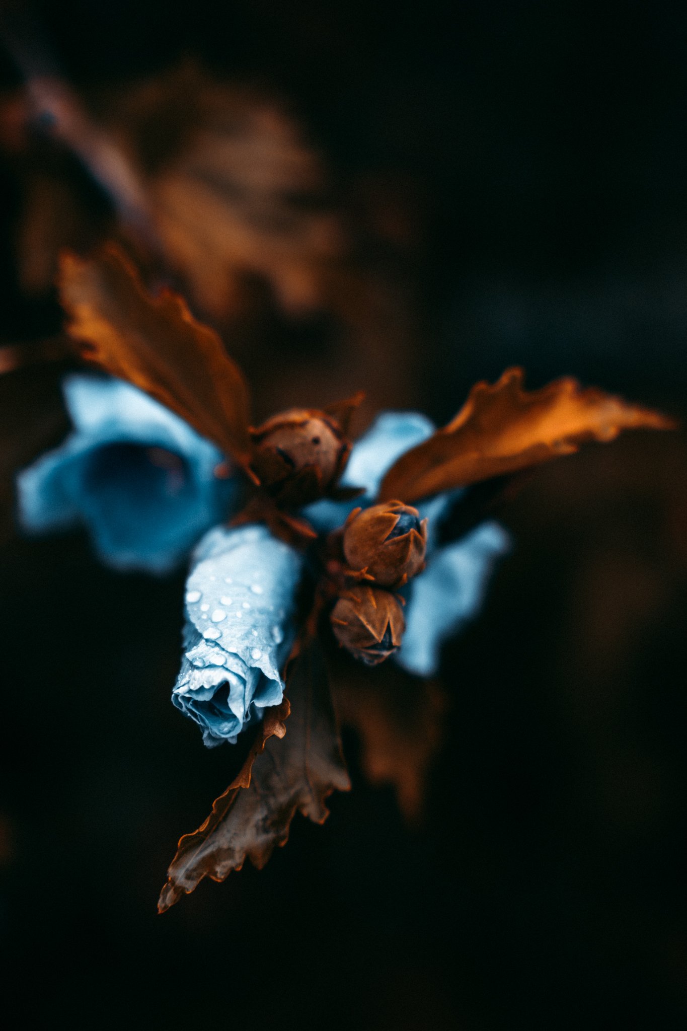 small-3.jpg