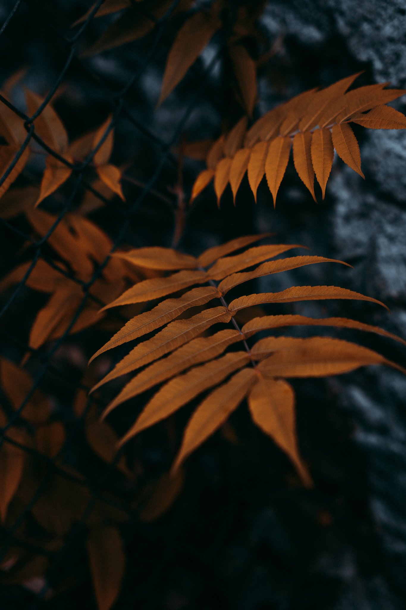 small-5.jpg