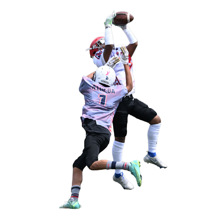 Idaho Bowl