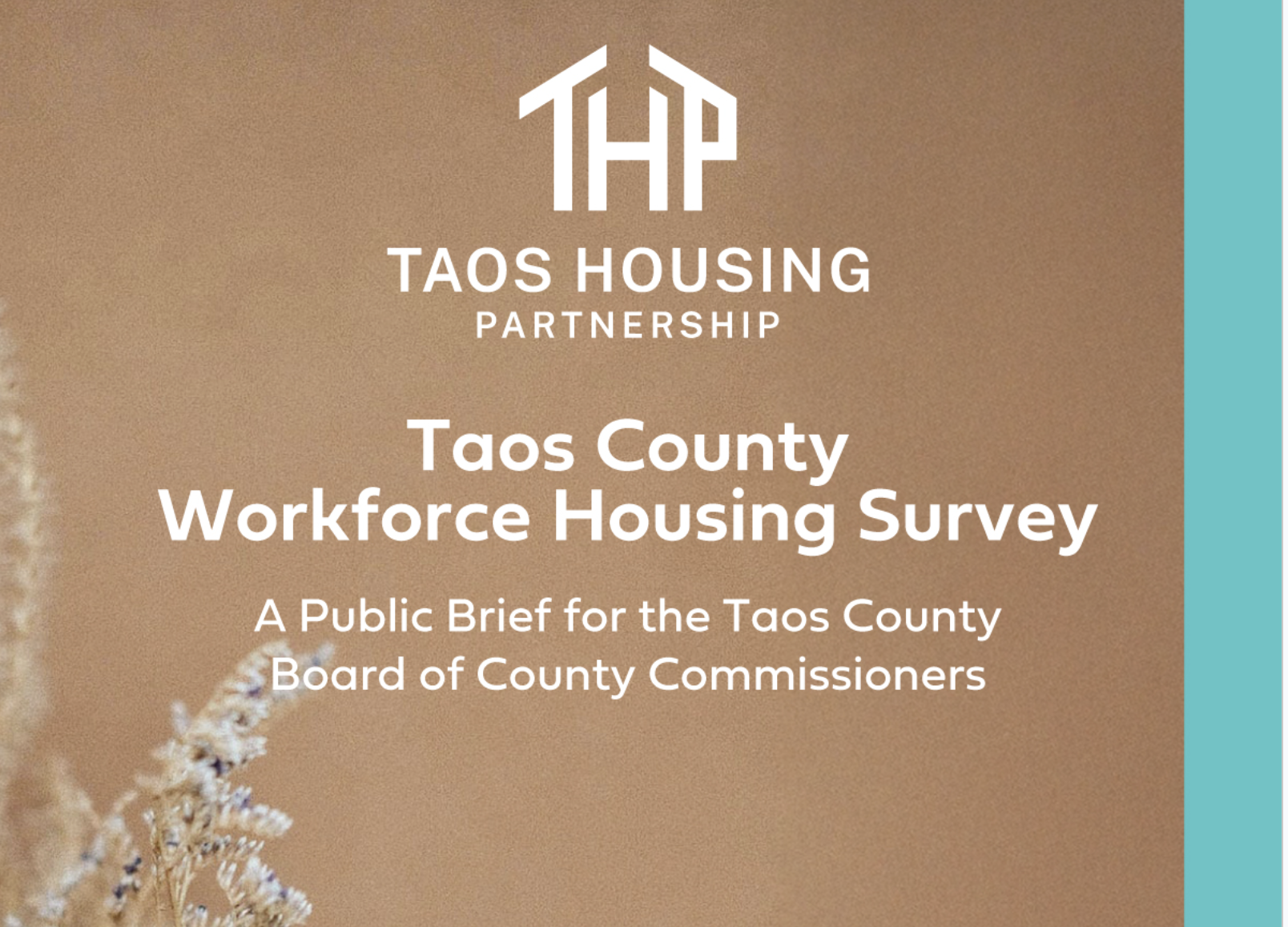 Taos County Workforce Survey- Report