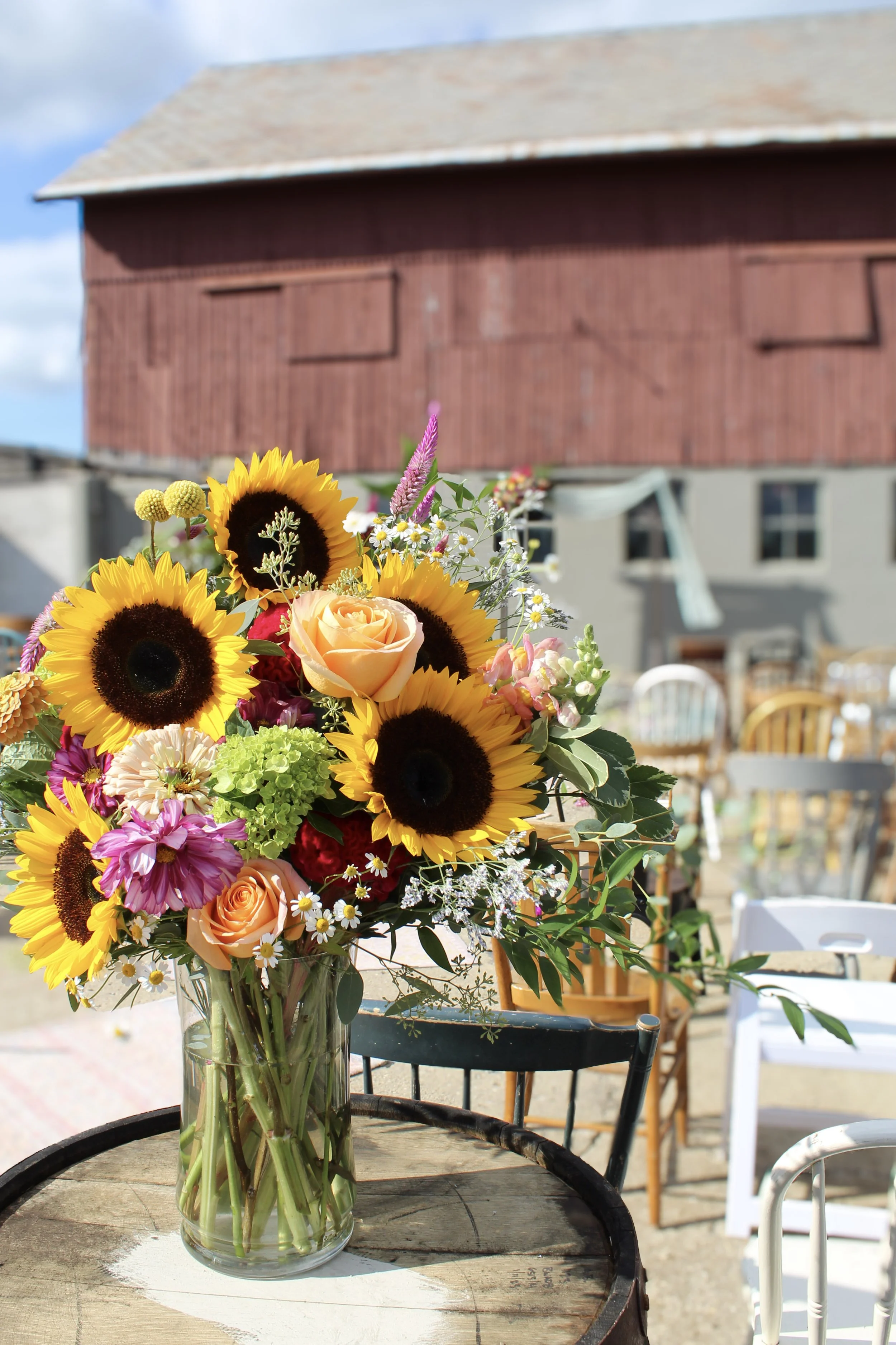 Stephanie Jane Photography