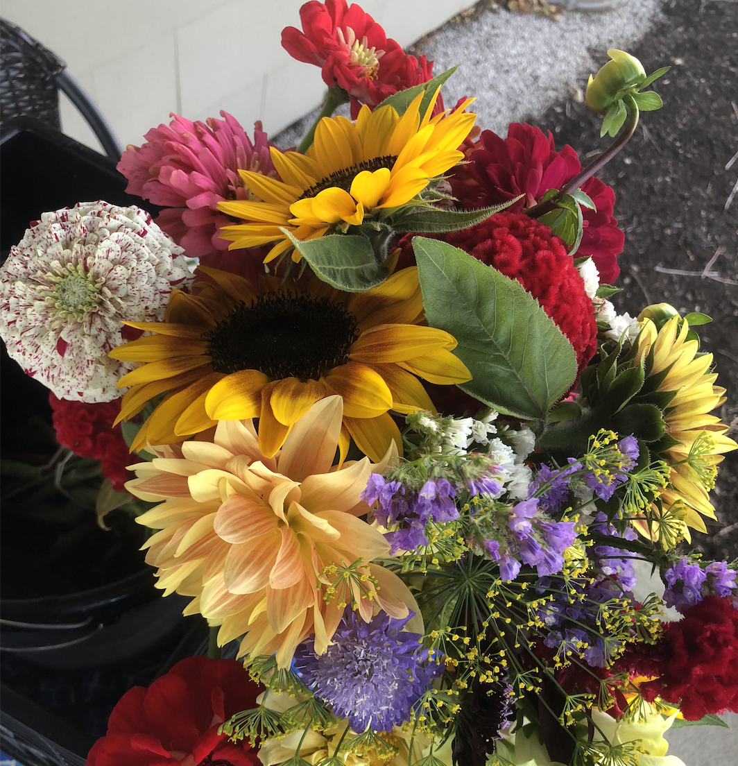 Screenshot 2026-04-28 at 6.16.24 PM.png