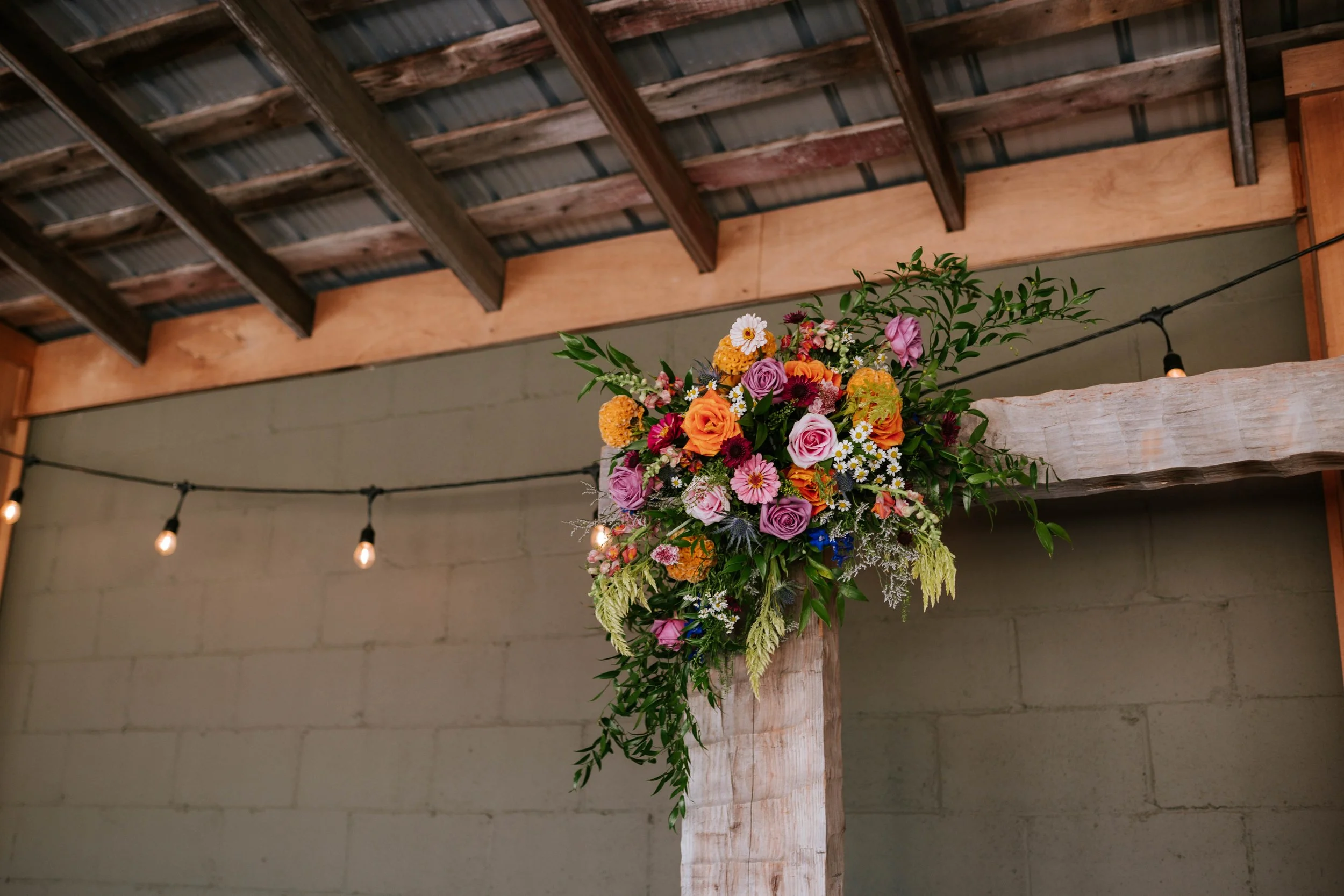 Megan Layne Photography