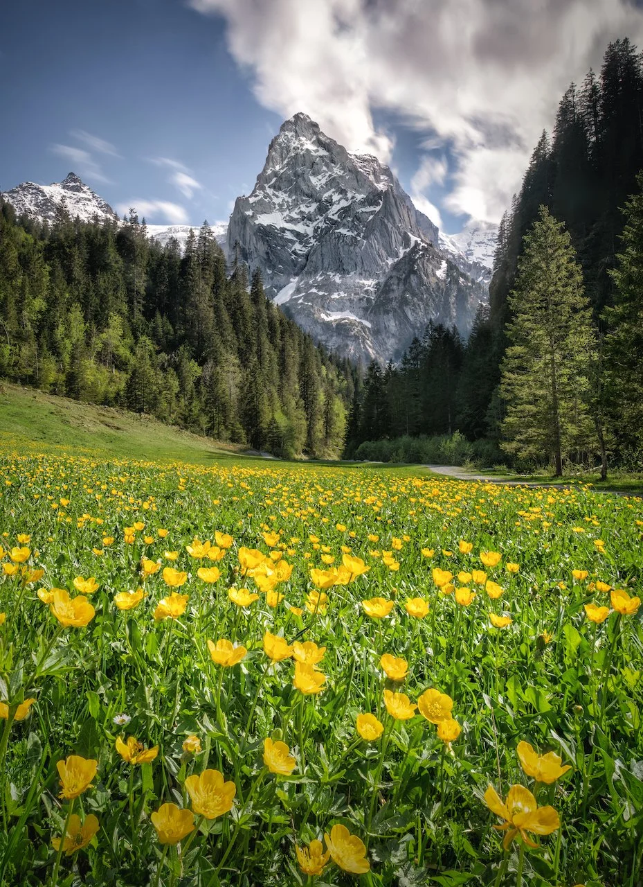 2021-06-06 20-57-20 (C,Smoothing8)-Edit-Edit-Edit-3-Edit-1.jpeg