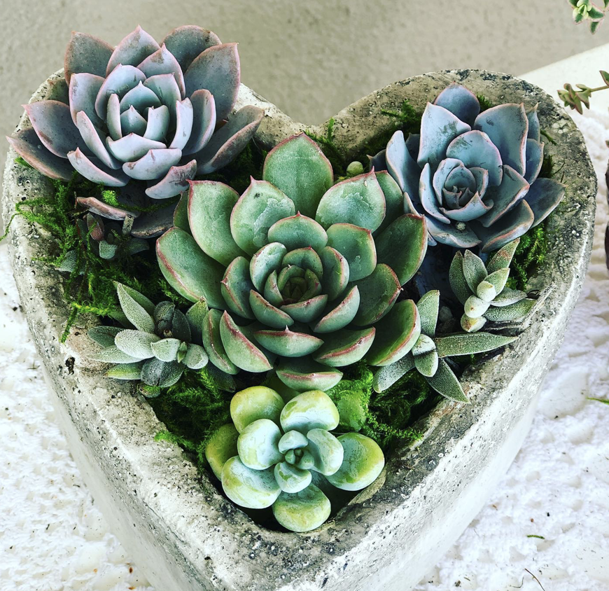 Screen Shot 2022-10-12 at 11.41.26 PM.png