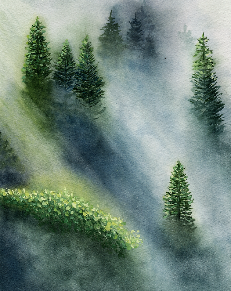 misty mountain pine trees against foggy background with mist. colors are greens and blues with grays