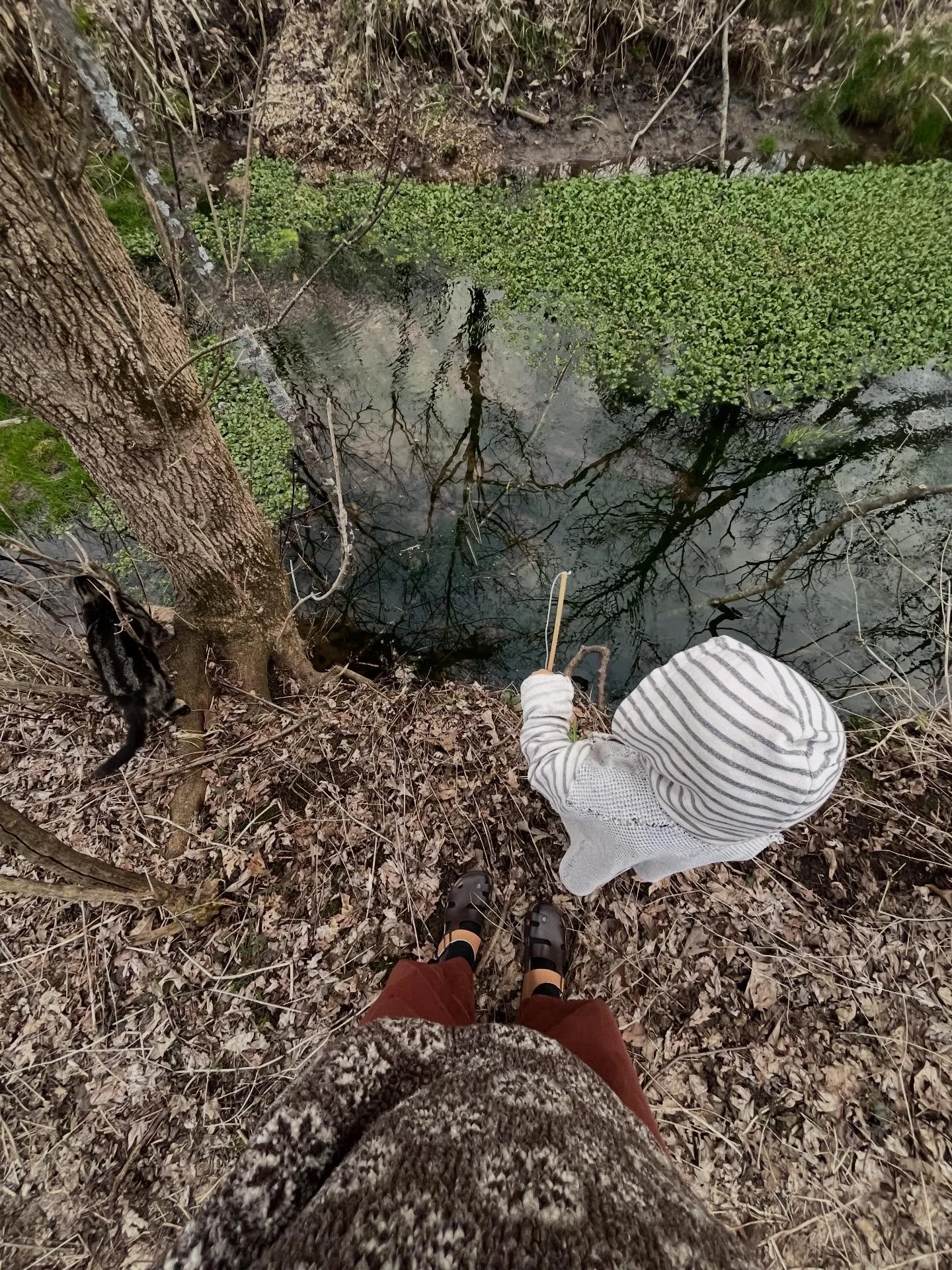 There is nothing I love more than spending time at our stream. There are 4 natural springs on our farm, meaning we can literally see the exact spots where the water is bubbling up from the earth. If that is not magic, I don&rsquo;t know what is!!

Ev