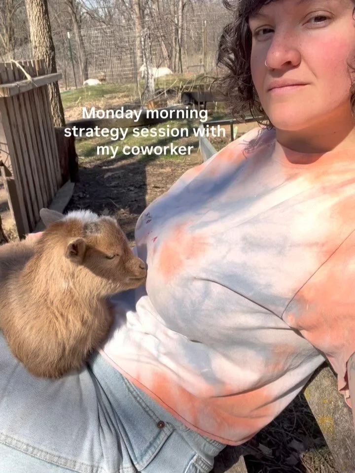 (swipe for the strategy)
by @ellafrears via @poetryisnotaluxury