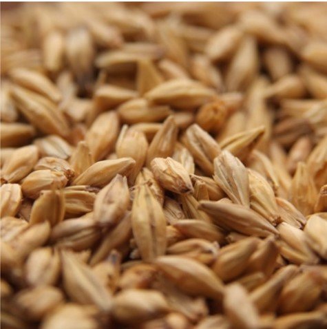 WEYERMANN® ACIDULATED MALT