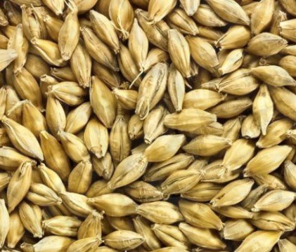 Simpsons Golden Naked Oats™ — Maine Brewing Supply
