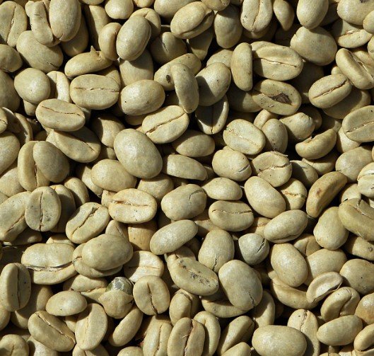 Costa Rica La Minita Estate La Magnolia Tres Rios - Wet Process - Green Coffee Beans