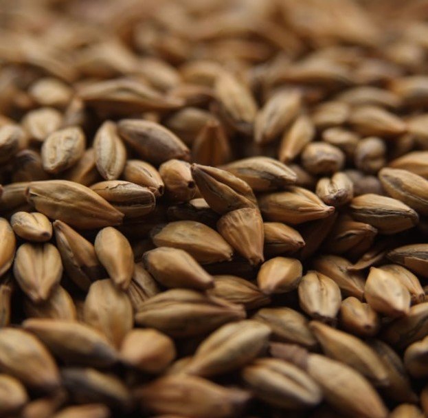 Amber Malt