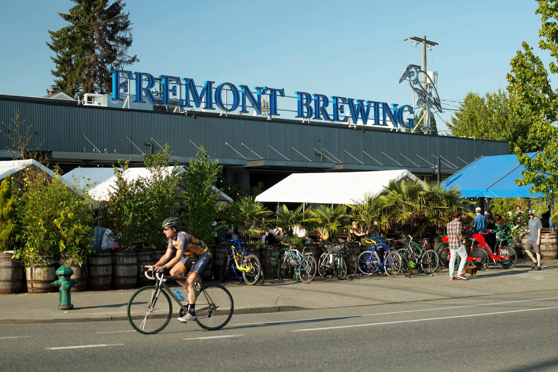 FremontBrewing_Front2.jpeg