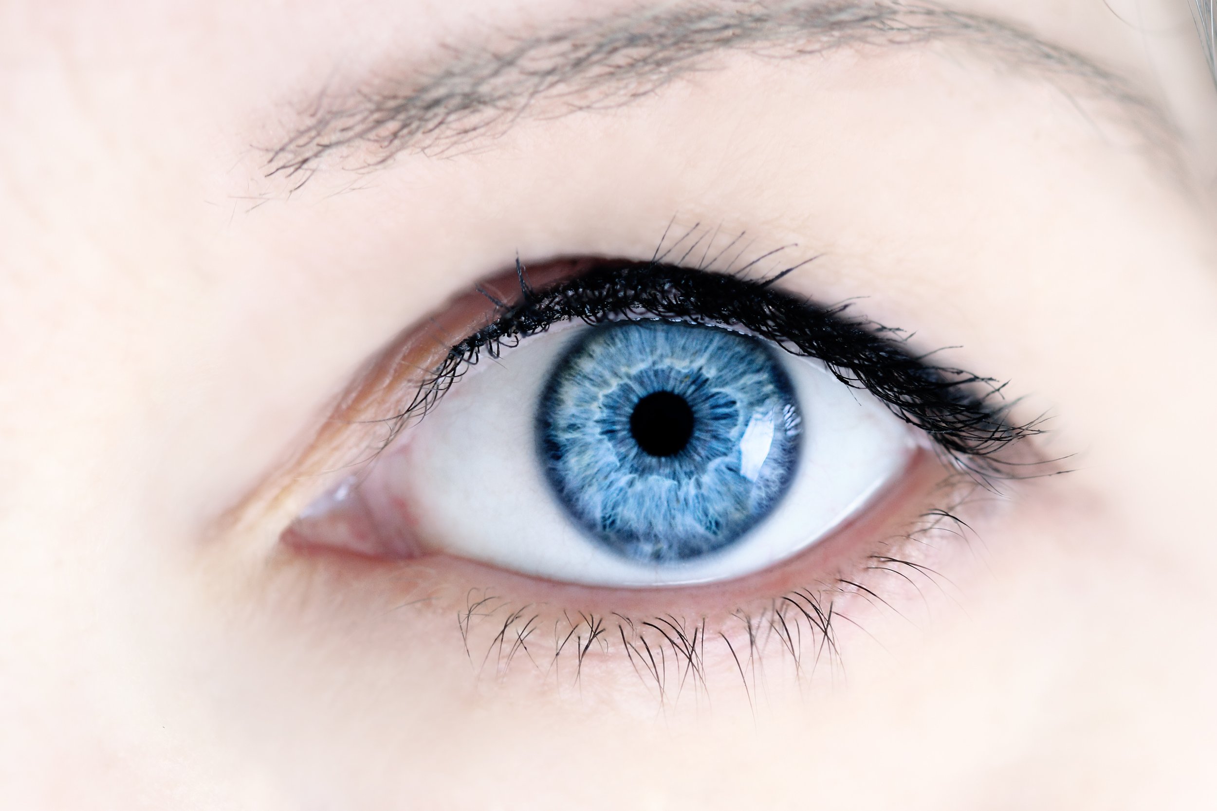 AdobeStock_79905364.jpeg