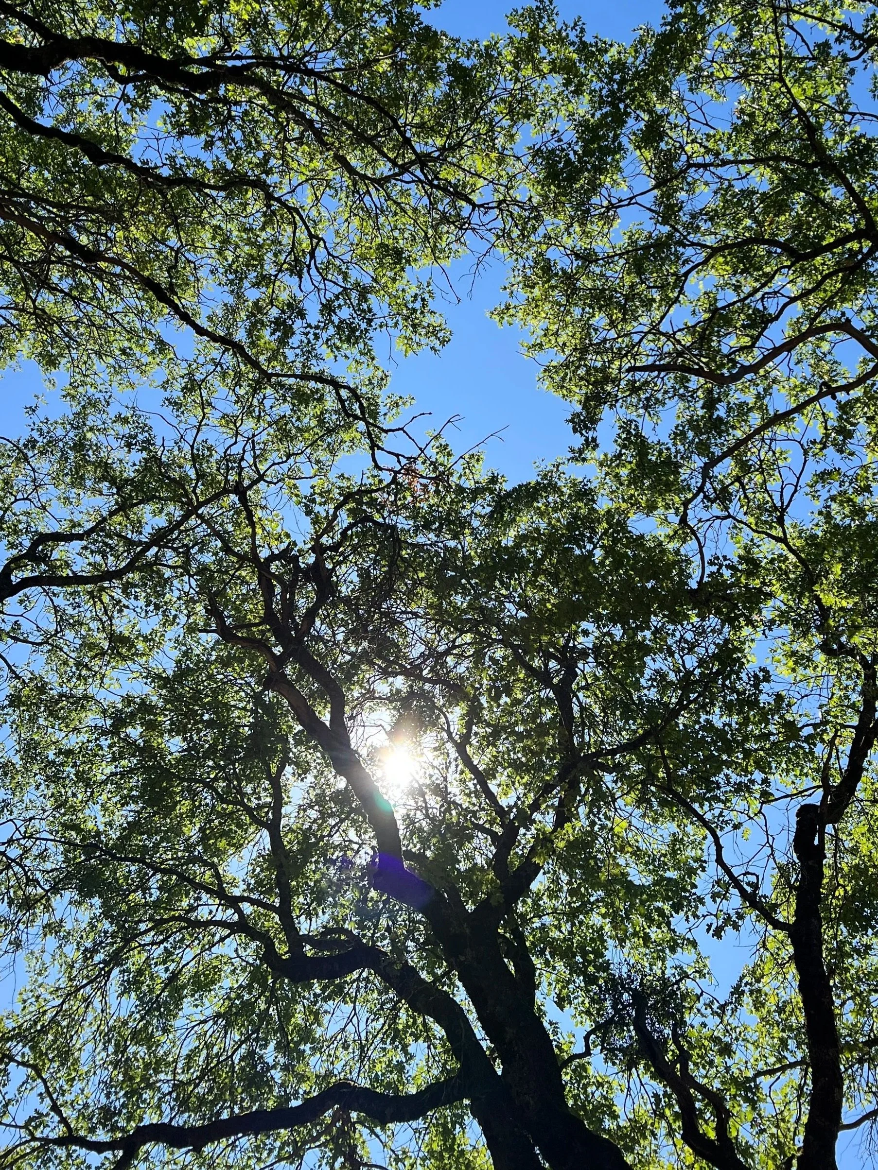 When Stillness Doesn’t Feel Safe