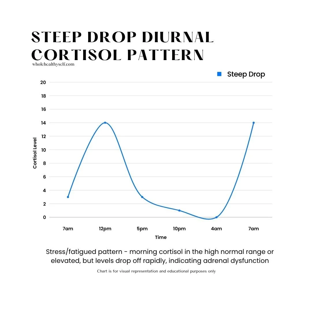 Line graph showing cortisol levels with a steep drop from 7 am to 4 am, then rising again by 7 am, labeled 'Steep Drop'.