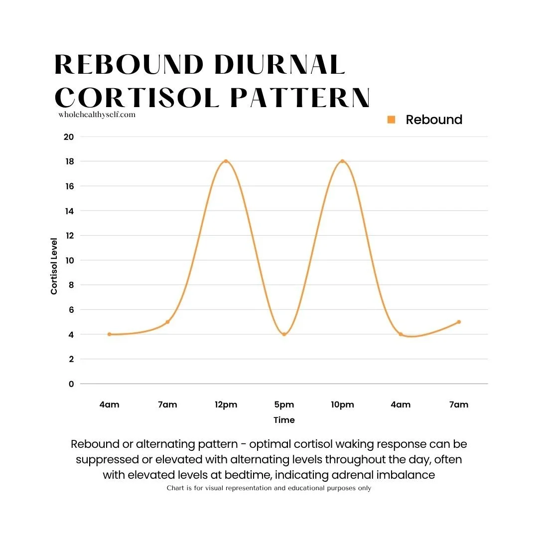 Line graph illustrating rebound diurnal cortisol pattern, with peaks around 7am and 10pm, and lows around 5pm and 4am, showing cortisol levels from 4am to 7am the next day. Title reads 'Rebound Diurnal Cortisol Pattern'.