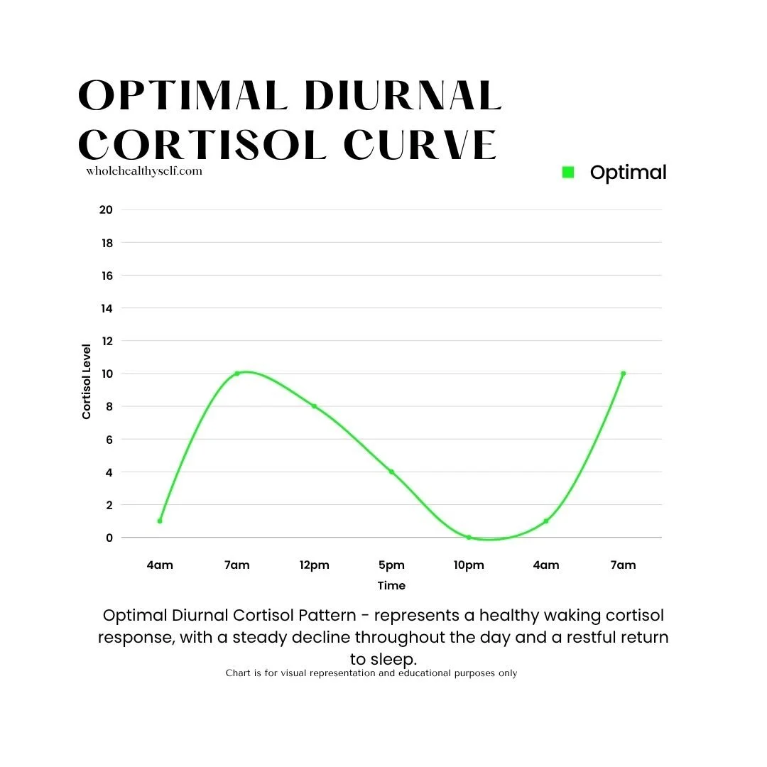Line graph titled 'Optimal Diurnal Cortisol Curve' showing cortisol levels over 24 hours with a single peak in the morning, a decline during the day, and a rise again at night, illustrating a healthy cortisol pattern.