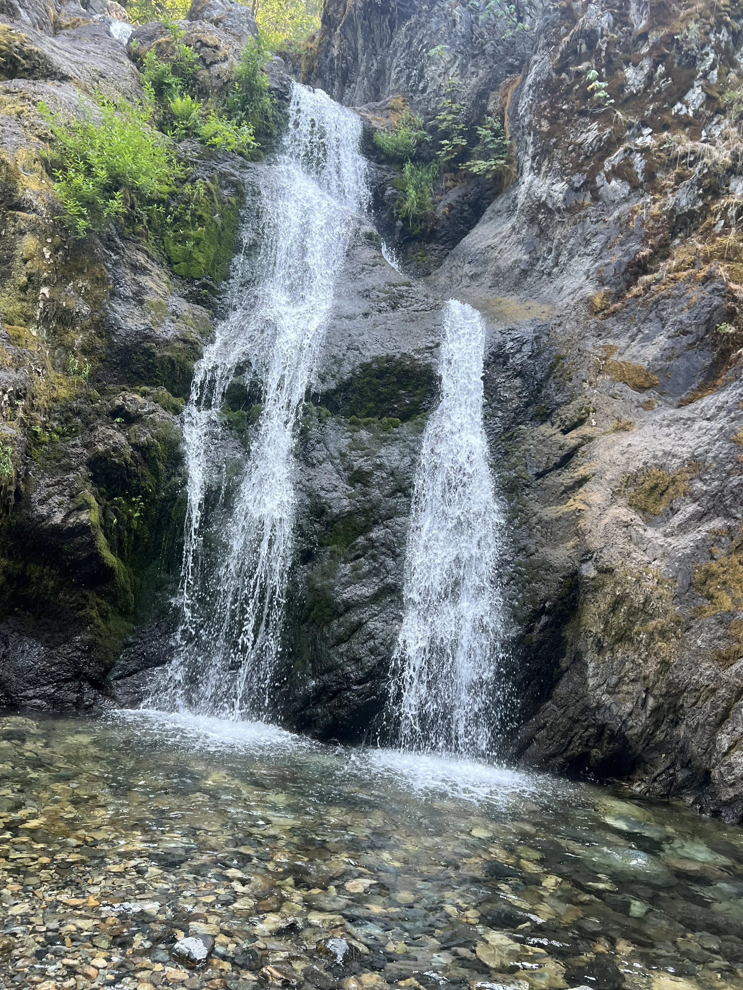 Small waterfall cascading down rocks into a shallow clear pool with gravel at the bottom, surrounded by green foliage.
