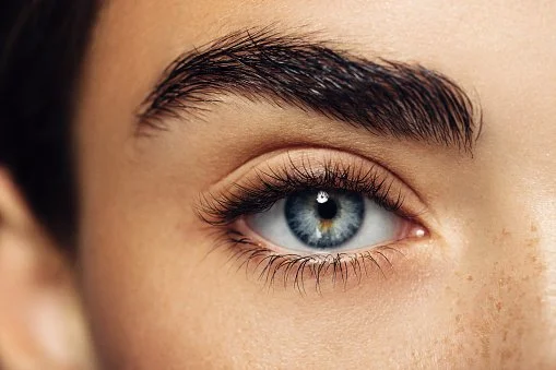 Eyelid and Brow Surgery