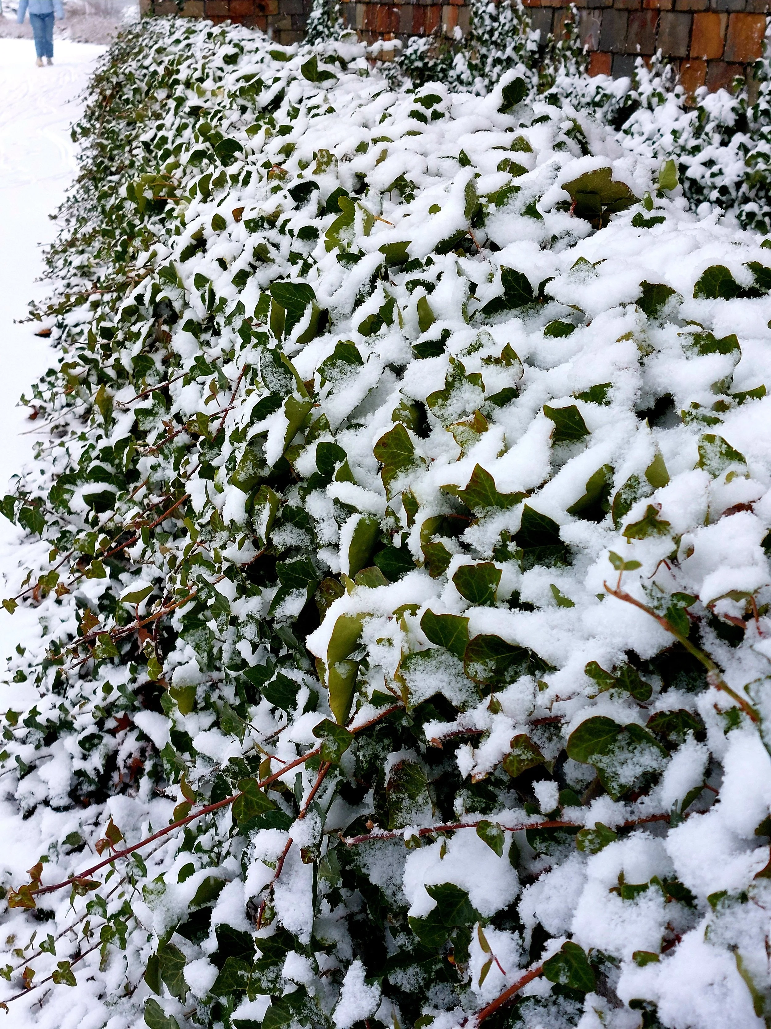 20211130_115857.jpg