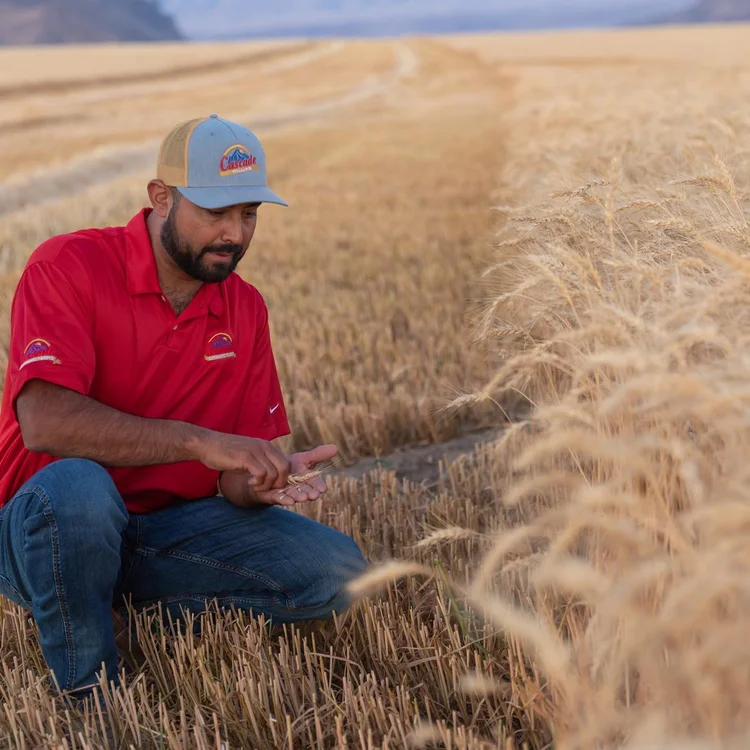 Our Farms — Cascade Milling