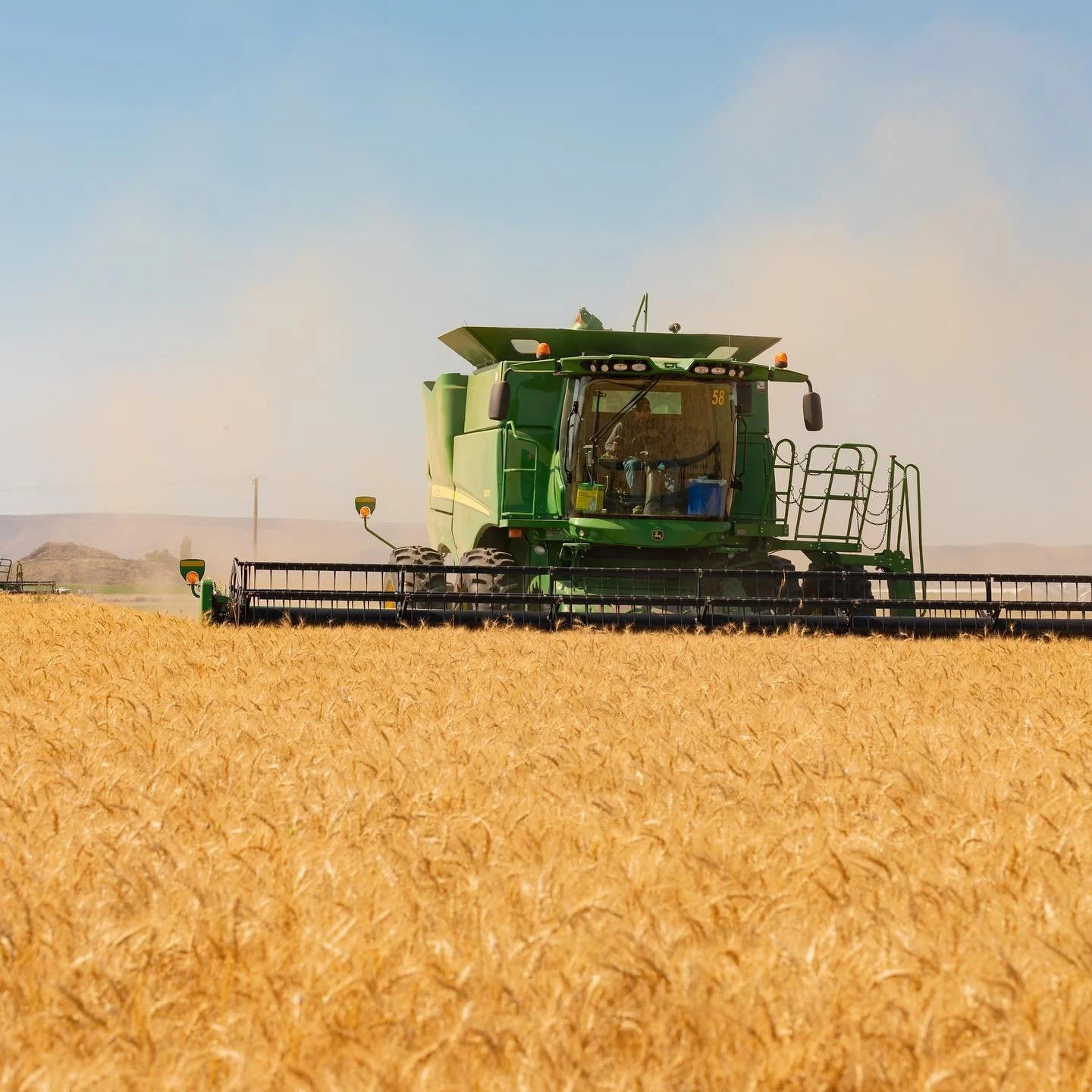 Sept 2020 Cascade Organic Farms Wheat Harvest Photo (5).jpg