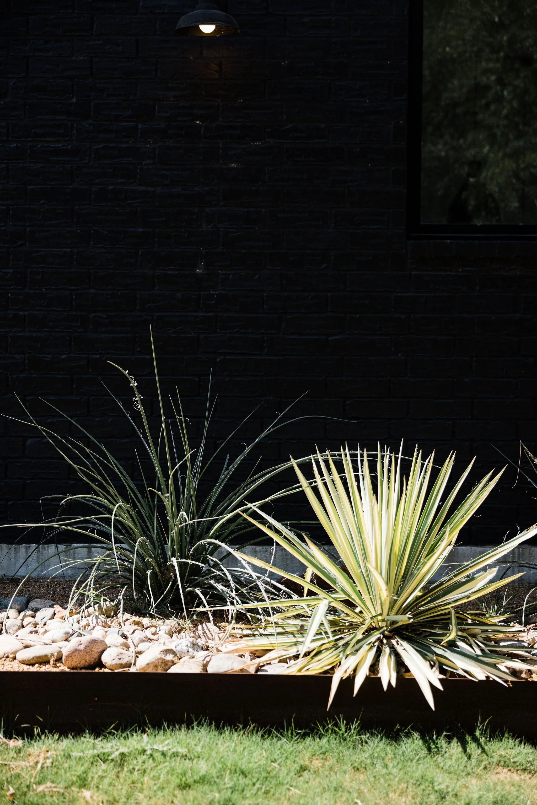 Case Study: R.P. Marzilli Landscape