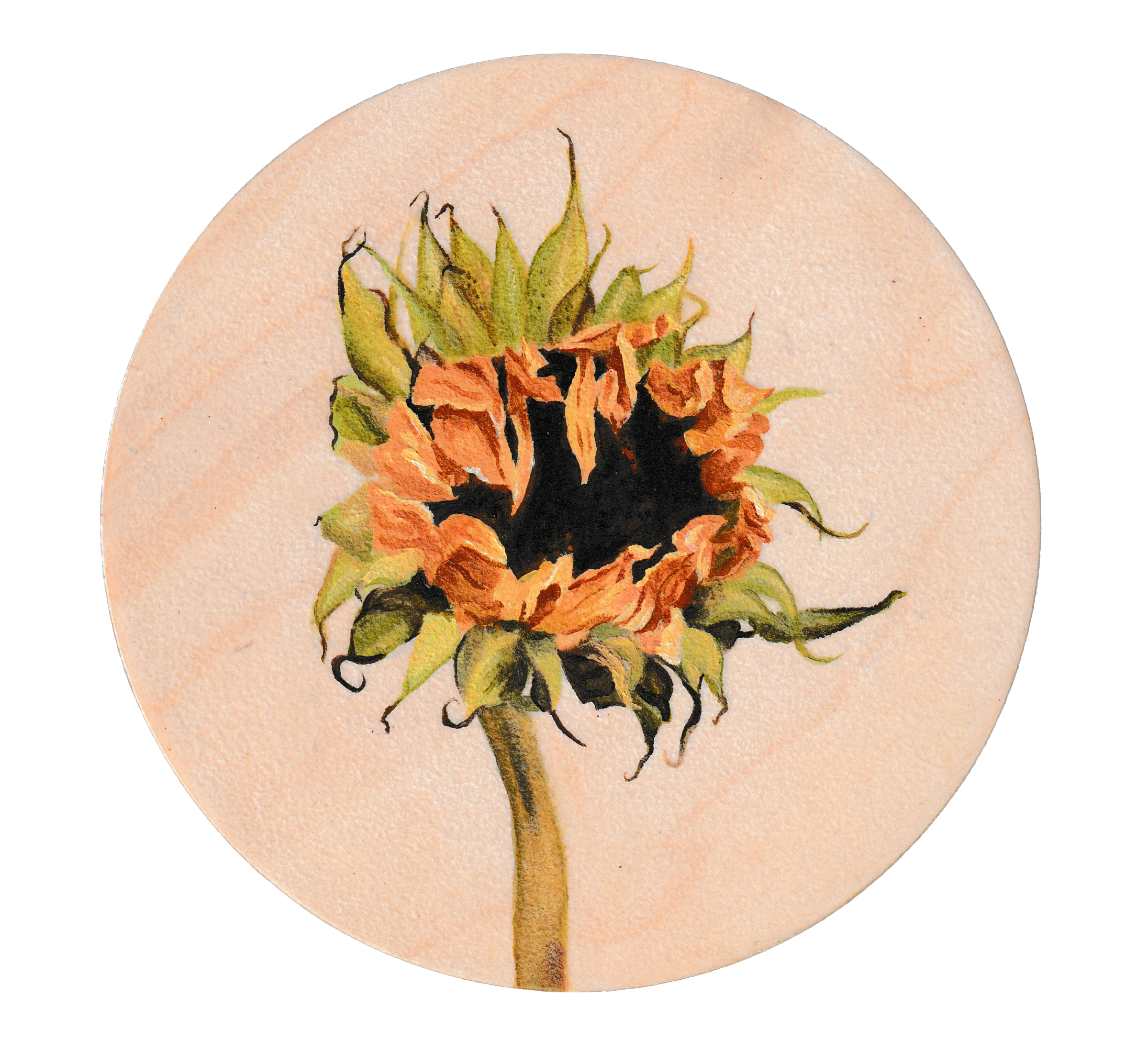 Withered Sunflower Giclée Art Print