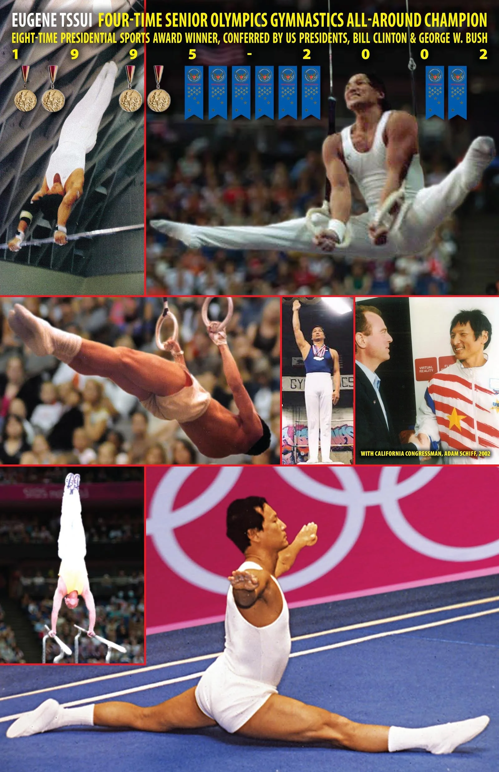 Eugene Tssui Gymnastics Poster 2013.jpg