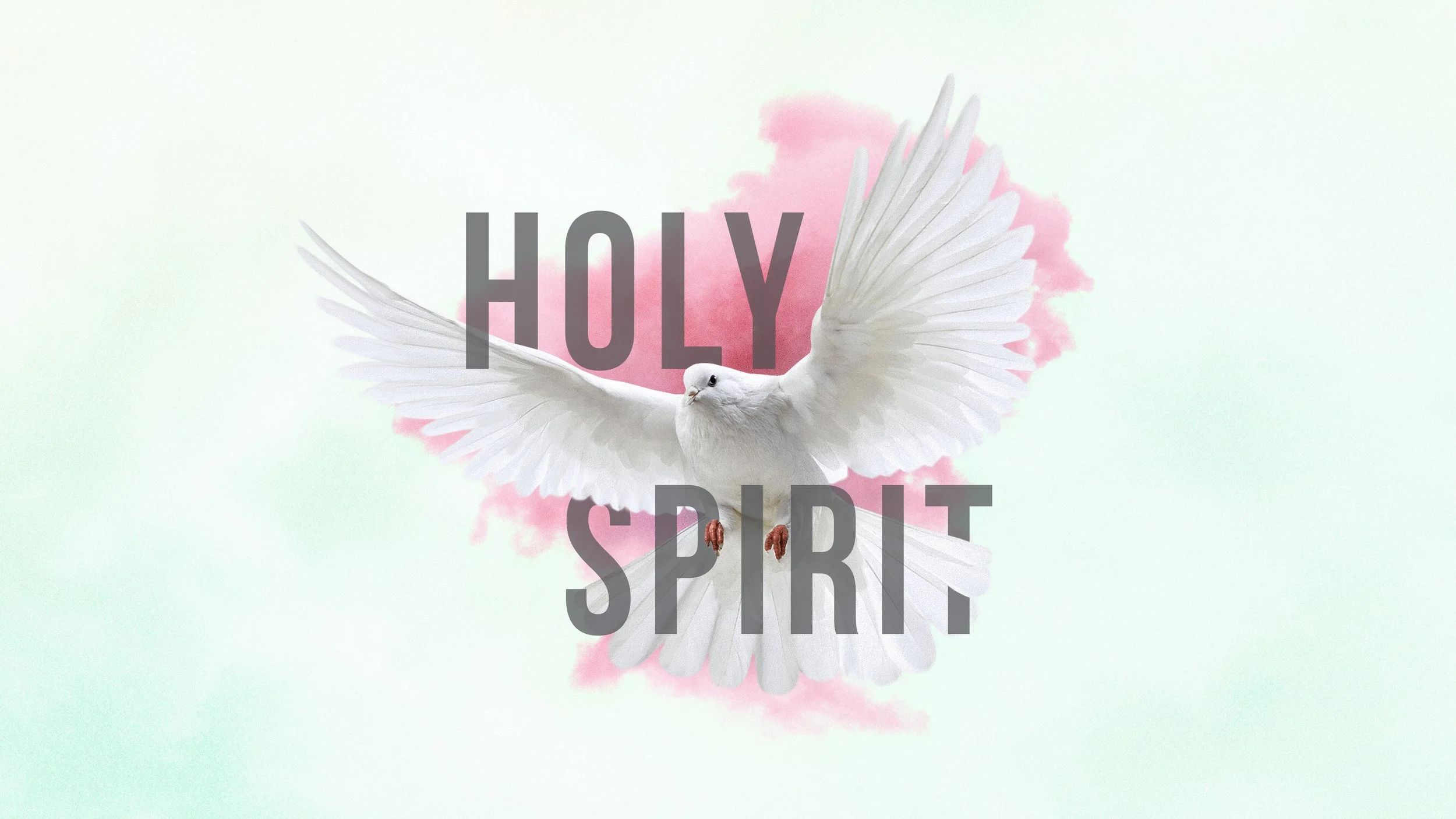 White dove with wings spread in front of pink watercolor splash with the words 'Holy Spirit' overlaid.