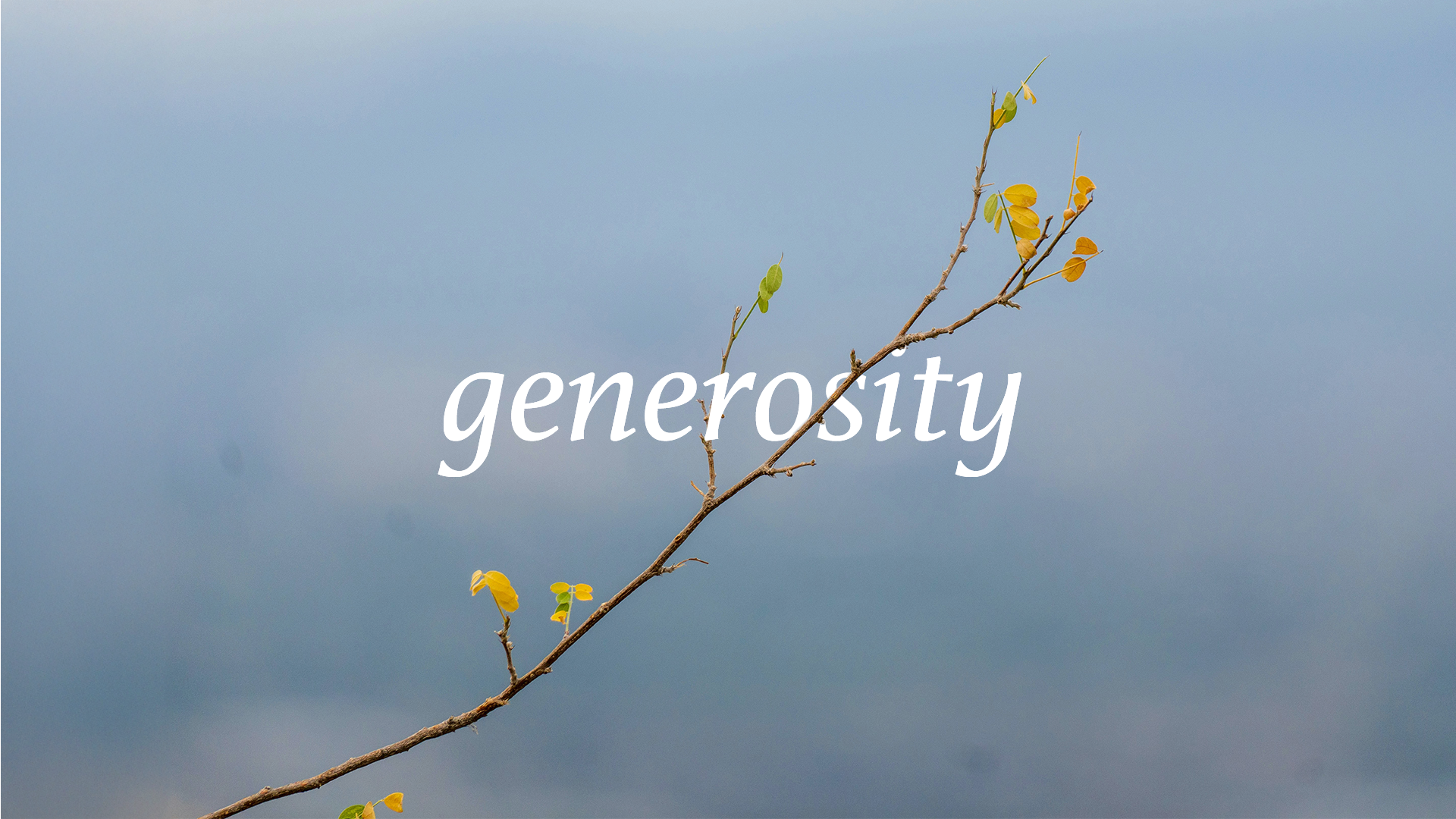 A thin tree branch with small yellow and green leaves against a cloudy sky background, with the word 'generosity' written over it.