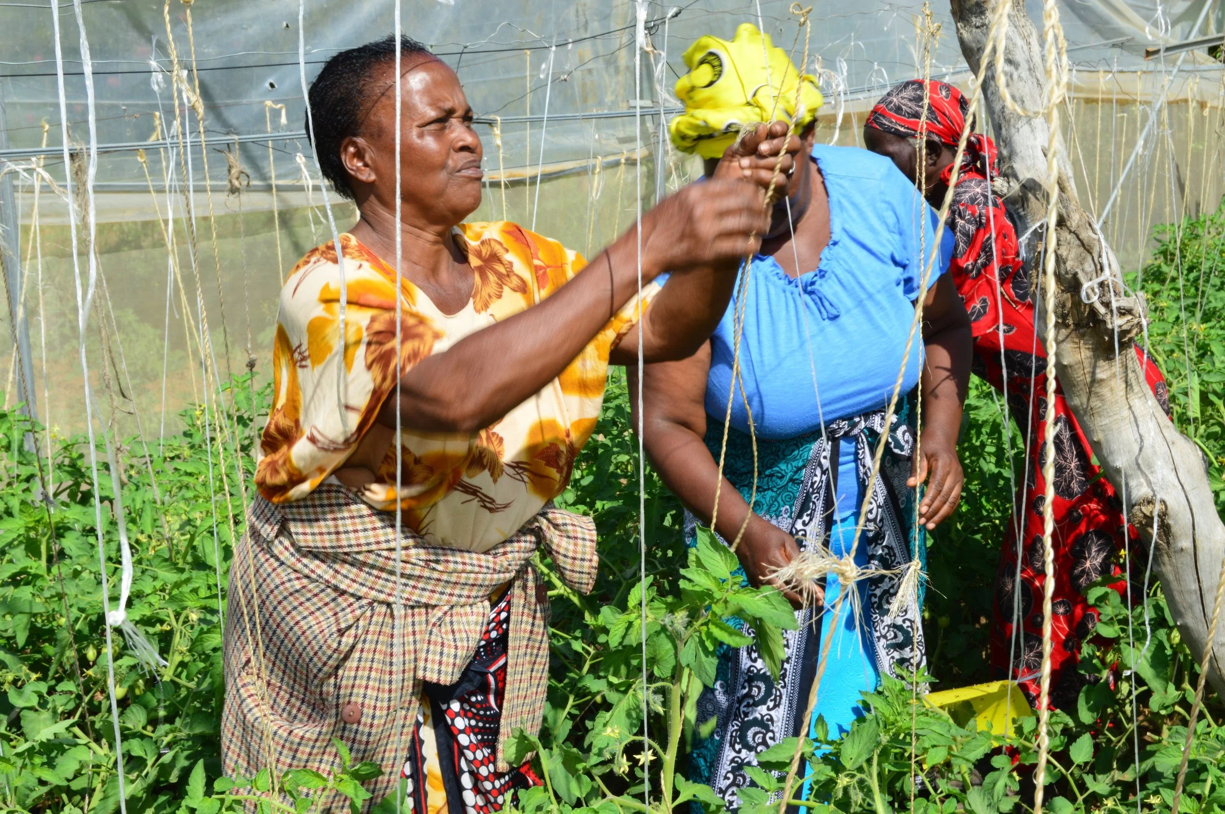 Giving A Hand Up: Part 2