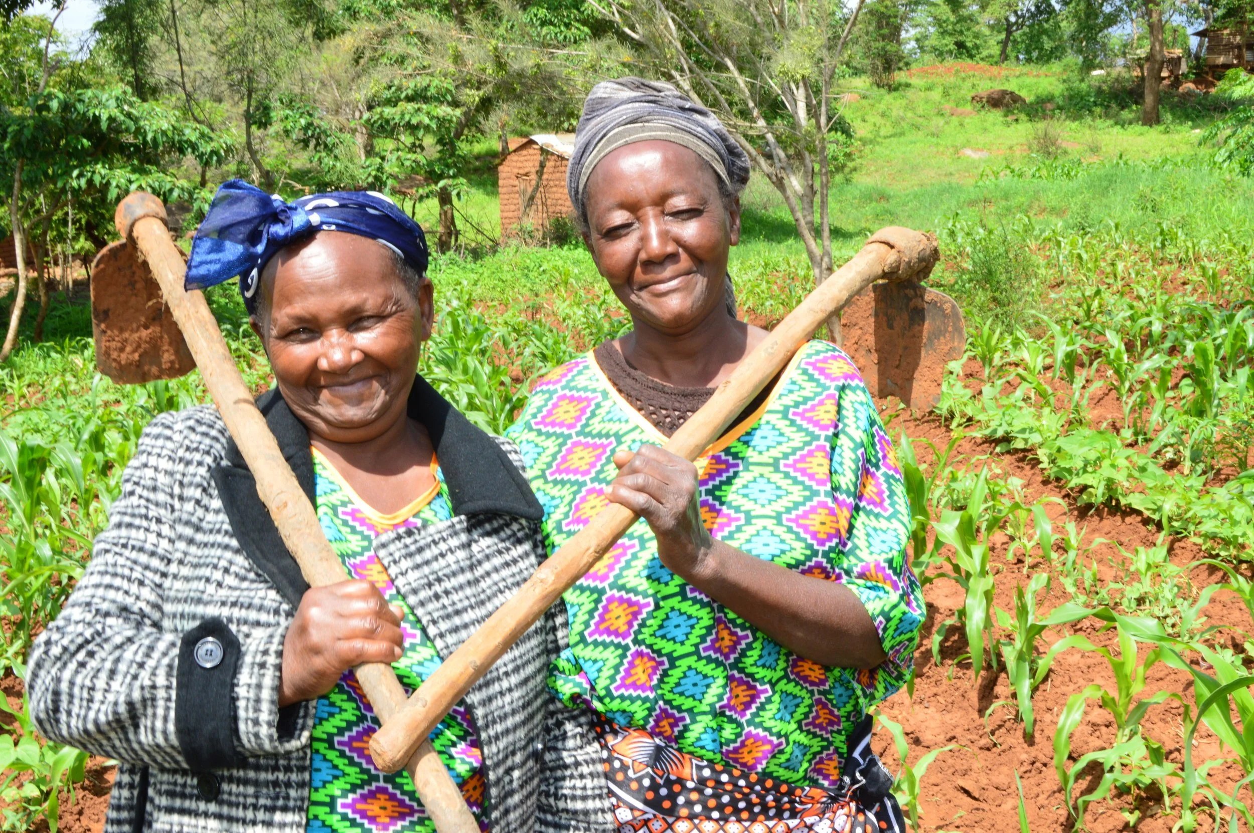 Giving A Hand Up: Part 1