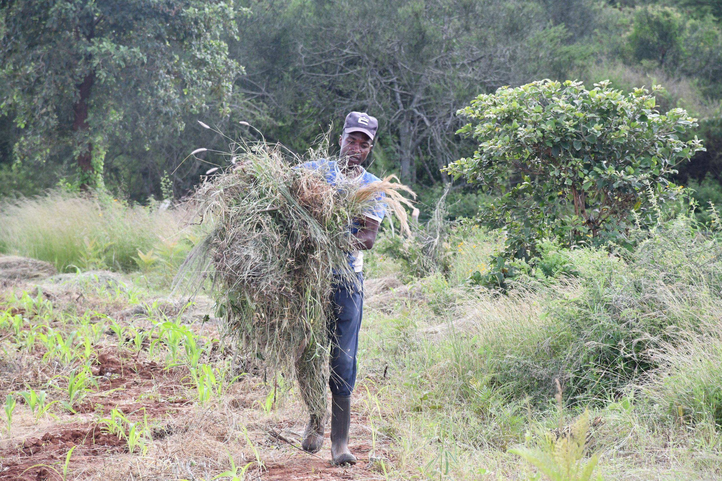 Help us Grow a Farm That Will Feed THOUSANDS