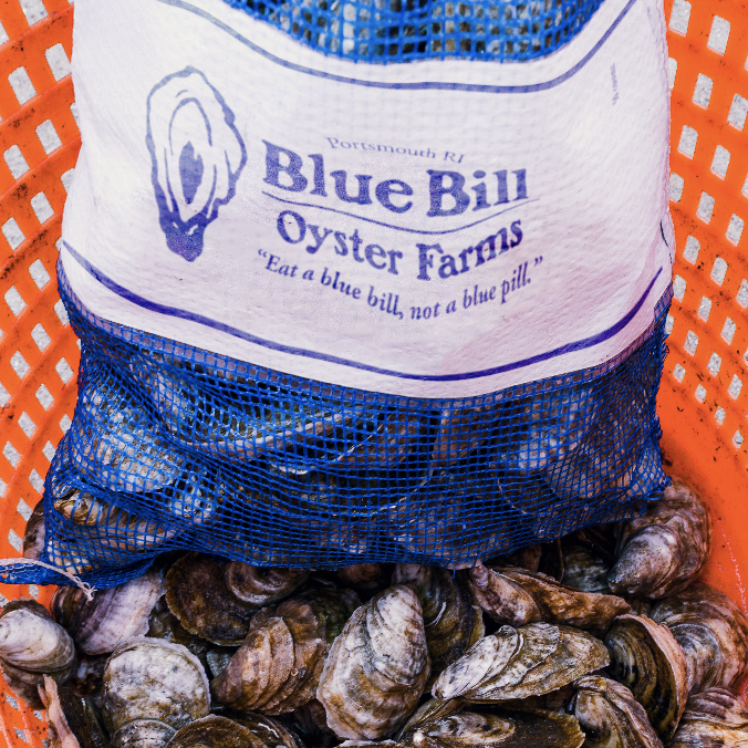 Blue Bill Oyster Farms